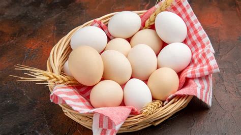 Eggs- Structure, Composition, Benefits and Storage – NutritionFact.in