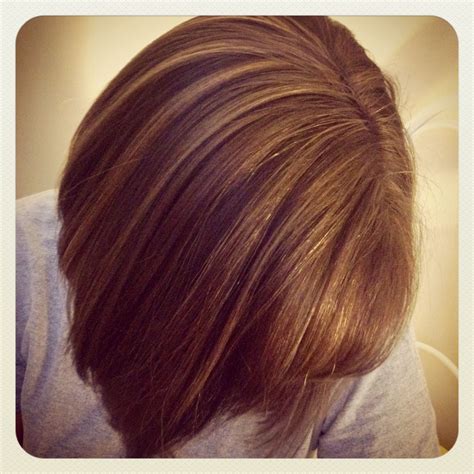 Short brown hair with highlights | Brown hair with highlights, Hair