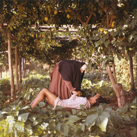 The Decameron (1971)