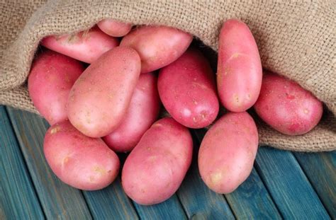 Семенной картофель «Розара»: Купить, Цены, Описание - КХ НИВА