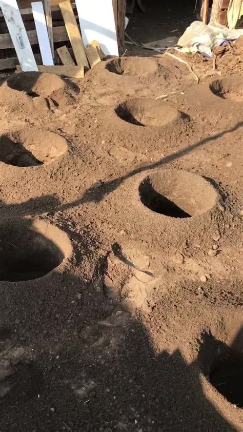 Заа модны нүх ухагчаар сая туршилтаар 25 нүх ухлаа 5 минут ч болсонгүй ...