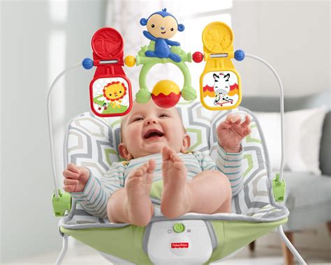 Amazon.com : Fisher-Price Baby's Bouncer, Geo Meadow : Baby