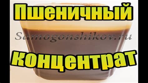 КОНЦЕНТРАТ ПШЕНИЧНОГО СОЛОДА. Будем делать пшеничную водочку. От Сан ...