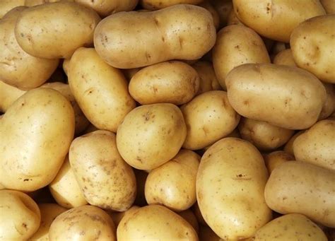 Картофель Армада: описание сорта