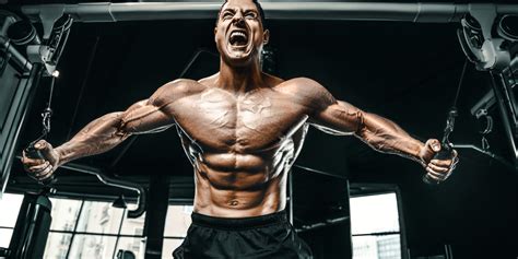 Chest Training 101 - The Muscle PhD