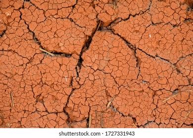 orange ground background shows details pattern stock photo