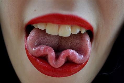 La Lengua Afuera | Flickr