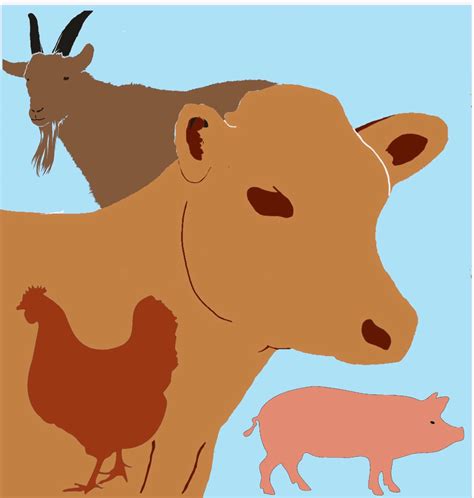 Roadside Blooms Shop - This year we have been nominated for best