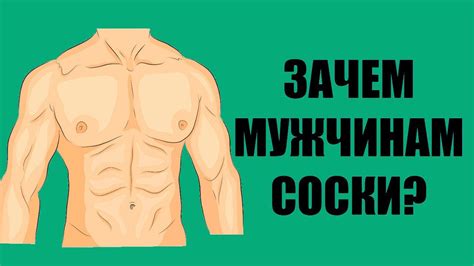 Зачем мужчинам соски? - YouTube