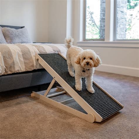 Small Dog Ramp For Sofa | Cabinets Matttroy