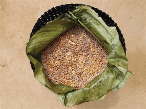 Fermented soya beans. | Download Scientific Diagram