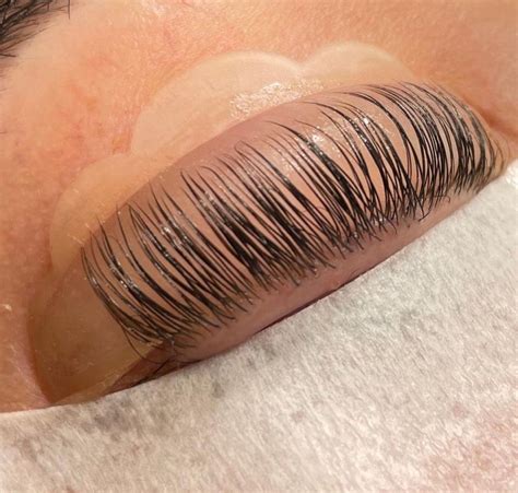lash lift holly garvey
