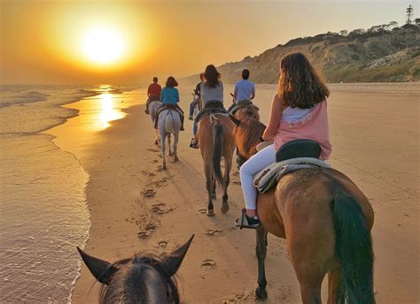 Horseback Riding on the Beach: Read this Before you Book