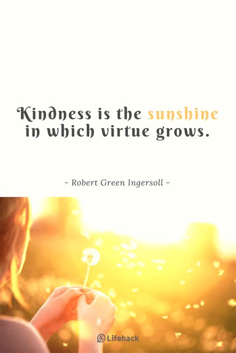 27 Kindness Quotes to Warm Your Heart