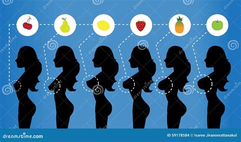 breast size compared  webreeseblog blog