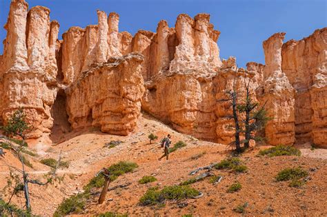 Fairyland Loop Trail: The Most Underrated (and Jaw-Dropping!) Hike in ...