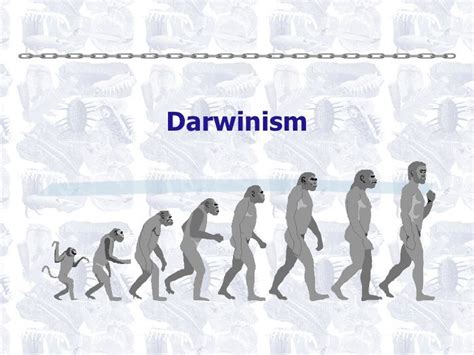 darwinism feb
