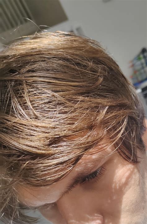 Dirt Blonde or Brown? : r/Hair