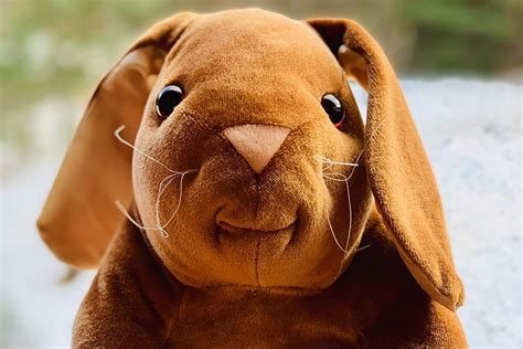 My Velveteen Rabbit - katherinehaghighi