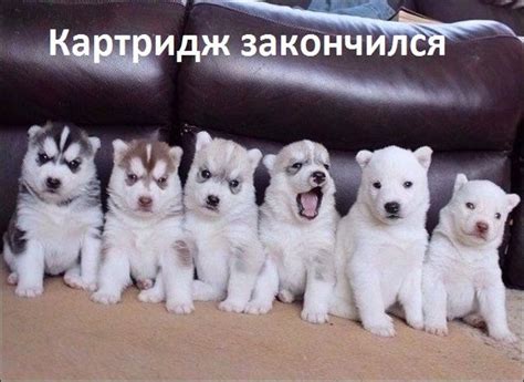 Фотоприколы (76 фото) | Прикол.ру — приколы, картинки, фотки и розыгрыши!