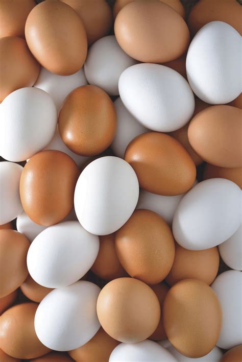 oua fipronil draganesti vlasca | Agrostandard
