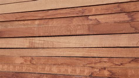 kayu damar laut klik kayu