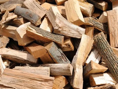 Advice for an Expert: How to Start a Fire With Wood - Dreifuss Fireplaces