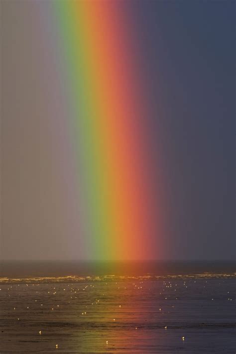 Remember The Joy. The rainbow teaches us that when the… | by Larry