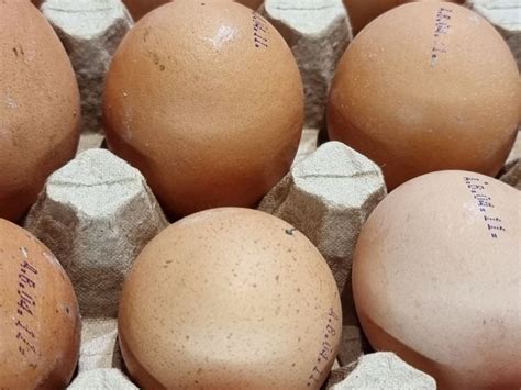 Как аккуратно извлечь скорлупу из сковороды: необычный способ: новости ...