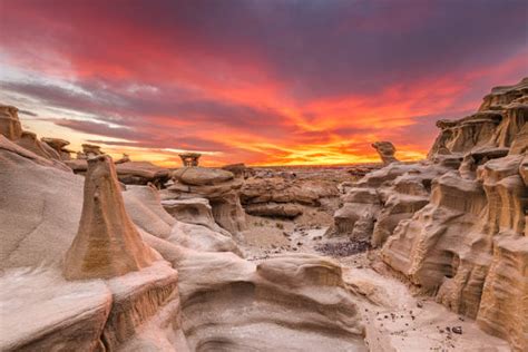 wilderness stock  pictures royalty  images istock