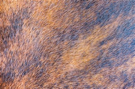 premium photo close   brown wool texture