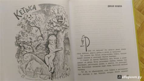 Книга: Семь мальчишек - Надежда Надеждина. Купить книгу, читать ...