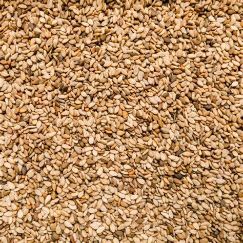 sesame texture stock  pictures royalty  images