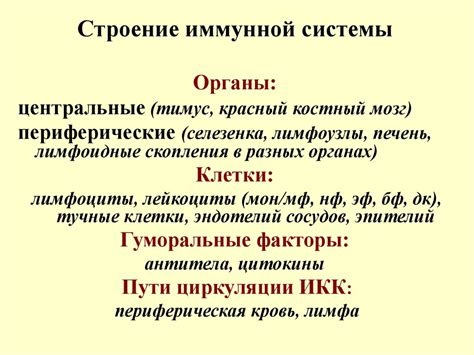 Строение и функции иммунной системы человека - презентация онлайн