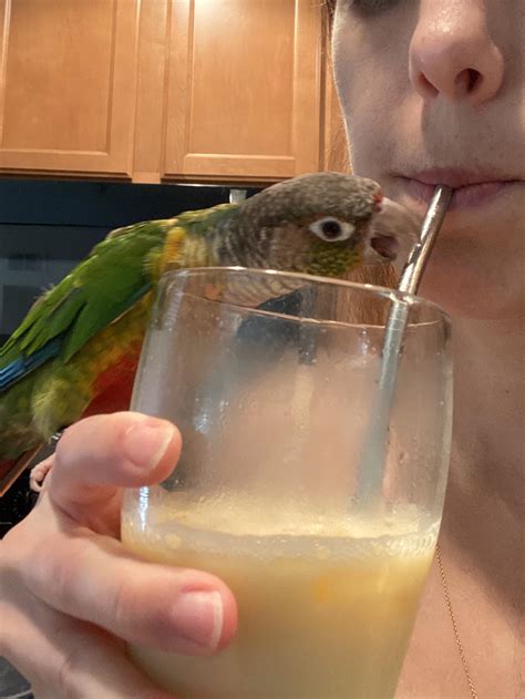 “every sip you take, every bite you make, I’ll be stalking you