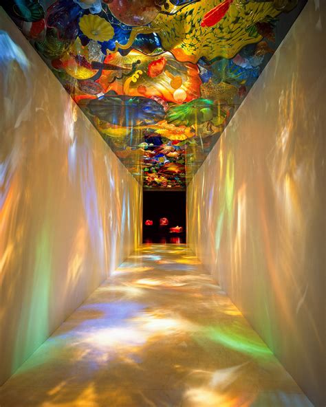 Naomi Studio and Gallery - Emily Eve Weinstein Art Books Painted Rocks