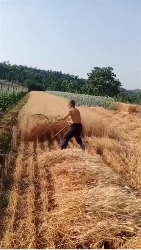 Wow, what an achievement! 💪💪💪 | Best garden tools, Agriculture ...