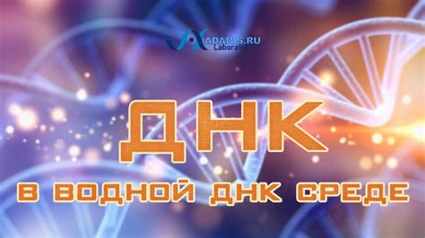 Матрицы Гаряева П.П. скачать