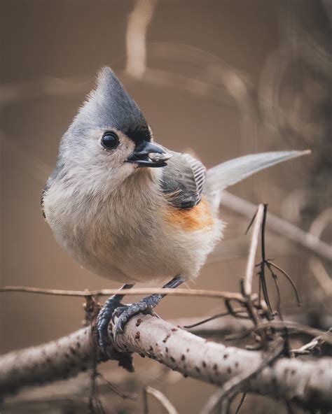 Best Chattahoochee River Posts - Reddit