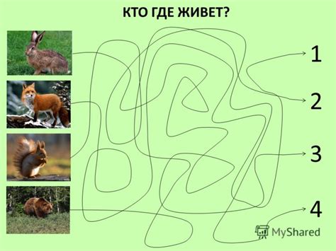 Презентация на тему: "Материал для совместной деятельности детей и ...