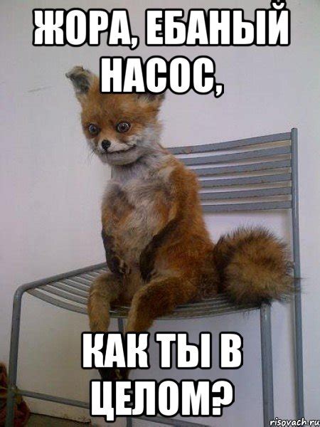 жора, ебаный насос, как ты в целом?, Мем Упоротая лиса - Рисовач .Ру