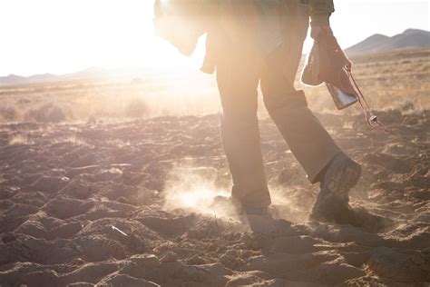 History of Keyline - Tooleys Trees