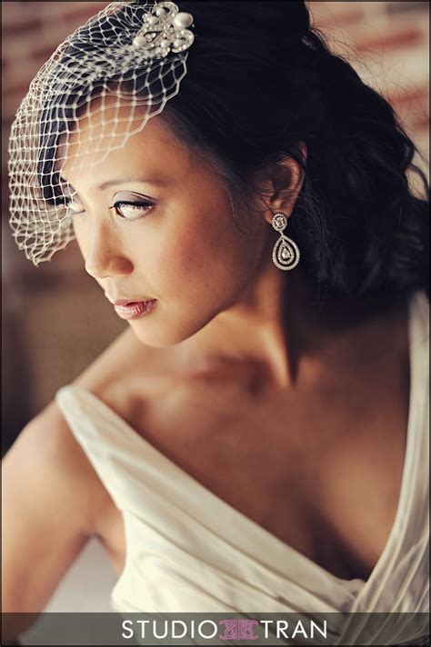bird cage veil | Bridal birdcage veils, Wedding hairstyles, Wedding