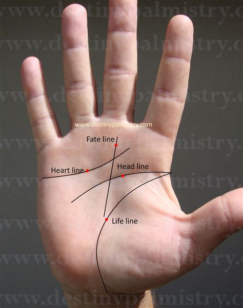s shaped line 9