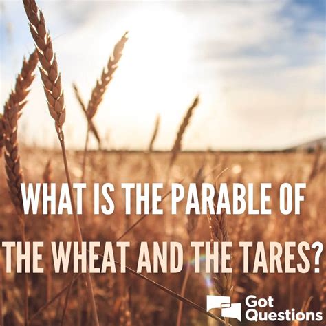 Parable Of Wheat Tares