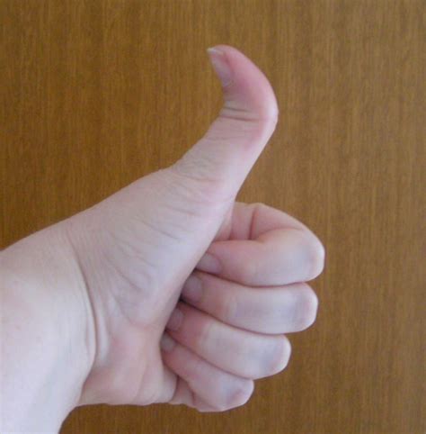 type  thumb theory forums