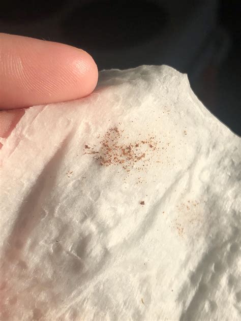 Tiny red/brown specks on windowsills? : r/whatsthisbug
