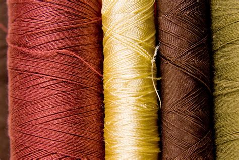 Threads 1 Free Stock Photo | FreeImages
