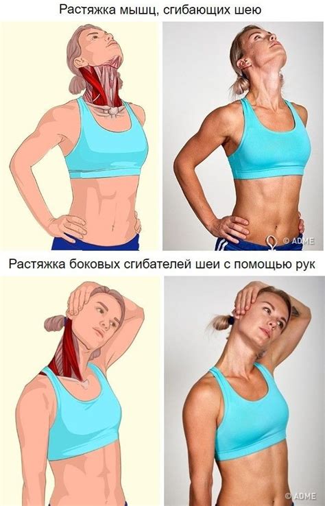Пин от пользователя Ирина на доске Фитнес | Мышцы, Упражнения, Планка ...