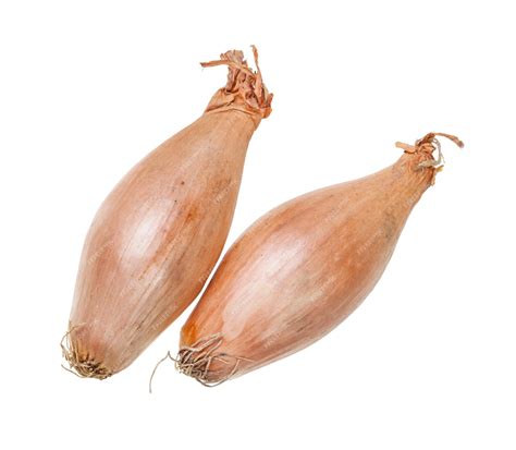Premium Photo | Two bulbs of shallot onion isolated on white